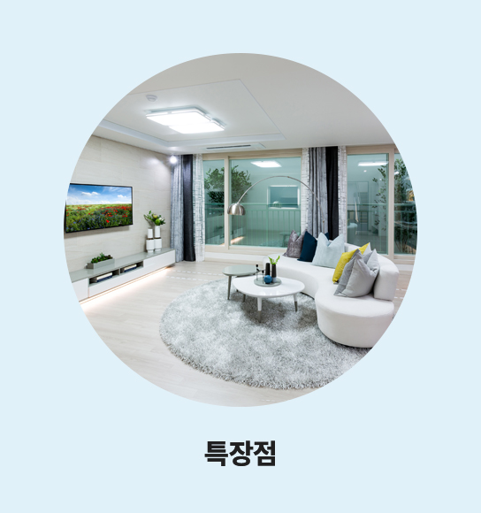 특장점